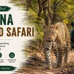Jhalana Leopard Safari